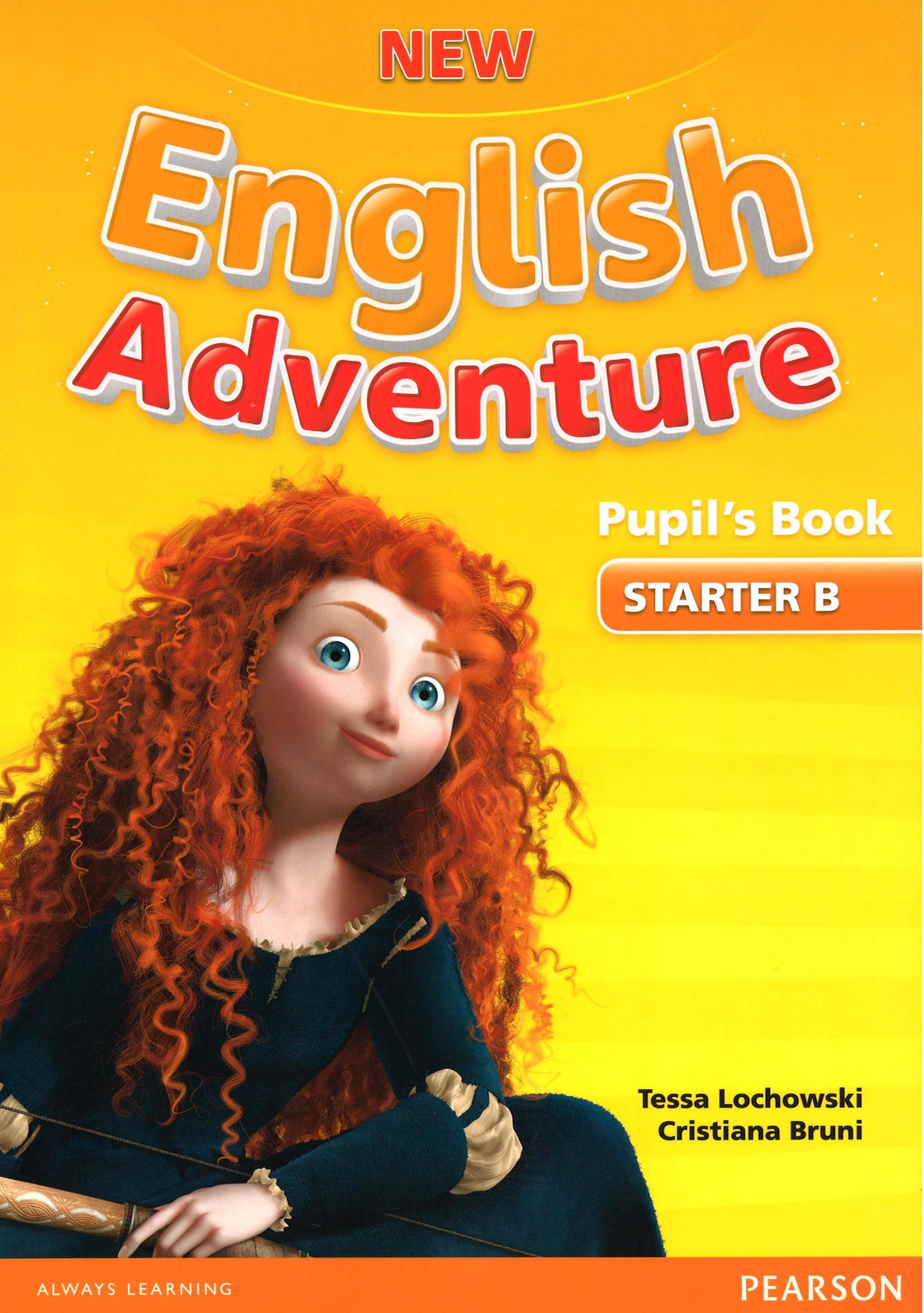 nea starter b pupils book