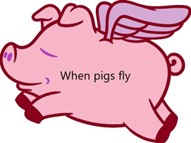 when pigs fly